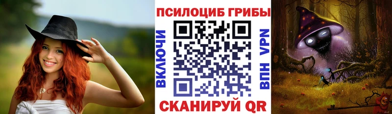 Псилоцибиновые грибы Psilocybe продажа наркотиков Всеволожск
