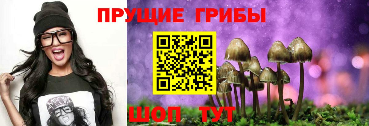 Галлюциногенные грибы MAGIC MUSHROOMS  Вход с VPN  Всеволожск 