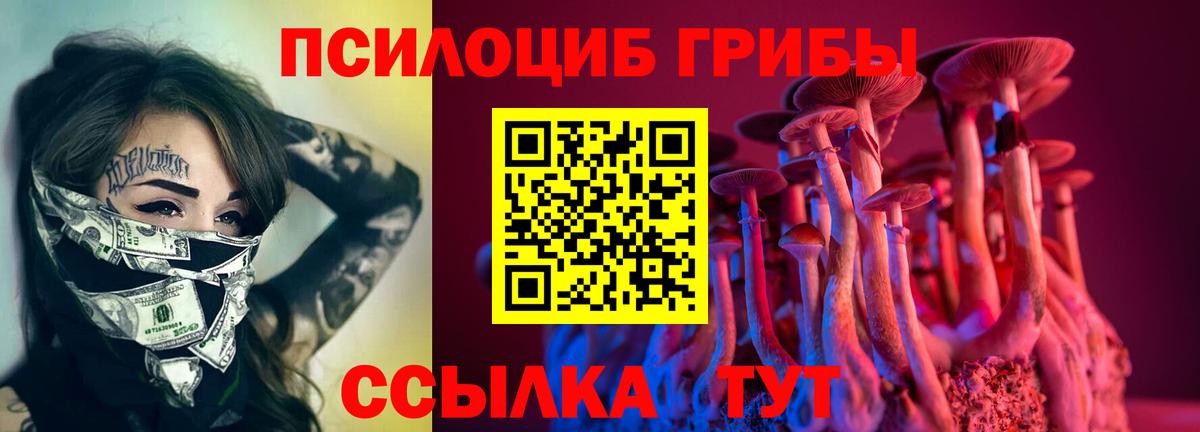 Псилоцибиновые грибы Cubensis Всеволожск