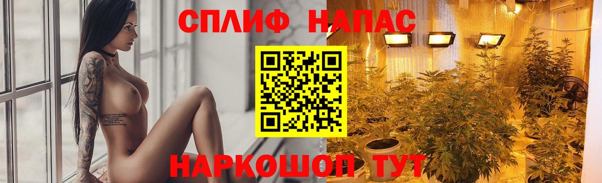 Бошки марихуана индика  Всеволожск  Конопля гибрид  Бошки Шишки MAZAR  Конопля Amnesia 