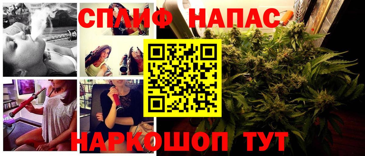 Бошки Шишки планчик  Каннабис OG Kush  Вход с VPN  Канабис сатива  Всеволожск 